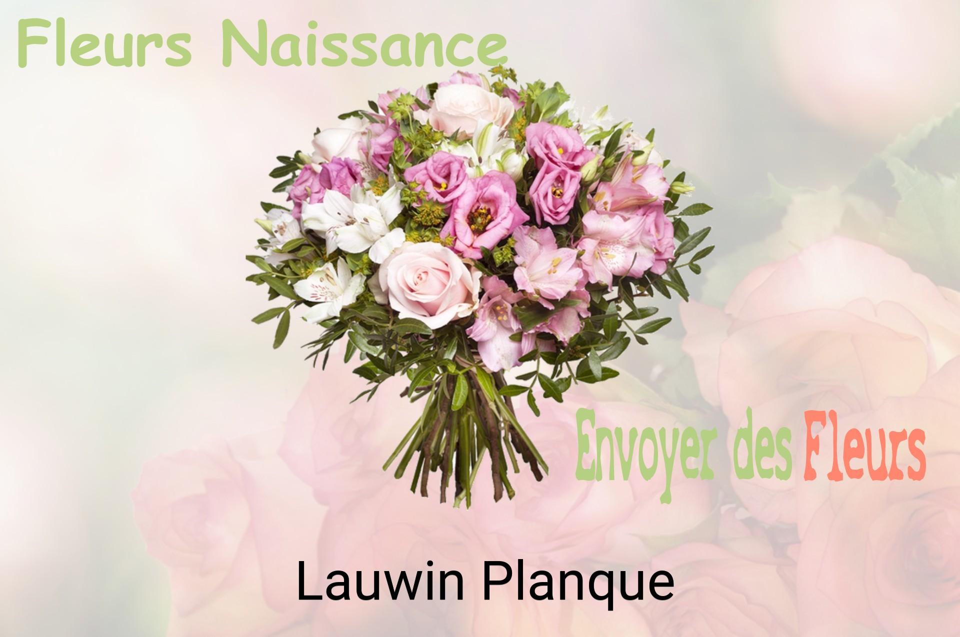 Bouquet de fleurs de naissance livré à Lauwin-Planque